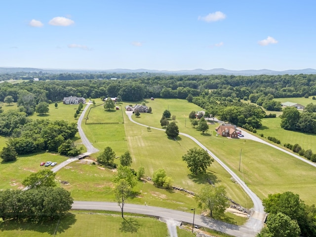 7299 Ruel Mcknight Rd, Milton, TN 37118 - photo 71
