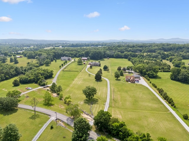 7299 Ruel Mcknight Rd, Milton, TN 37118 - photo 74
