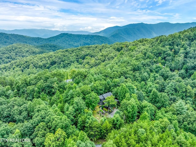 802 Stonegate Way, Townsend, TN 37882 - view of mountain backdrop featuring a forest