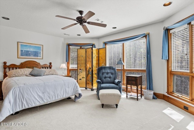 802 Stonegate Way, Townsend, TN 37882 - carpeted bedroom with multiple windows and a ceiling fan