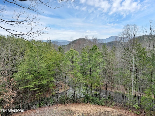 802 Stonegate Way, Townsend, TN 37882 - mountain view featuring a forest