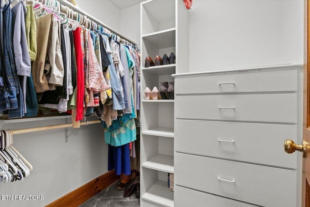802 Stonegate Way, Townsend, TN 37882 - view of walk in closet