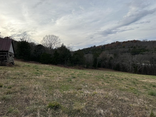 0 Popular Bluff Rd, Auburntown, TN 37016 - photo 5