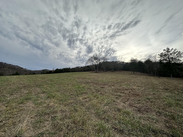 0 Popular Bluff Rd, Auburntown, TN 37016 - photo 7