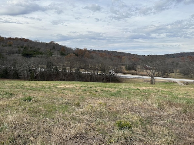 0 Popular Bluff Rd, Auburntown, TN 37016 - photo 1