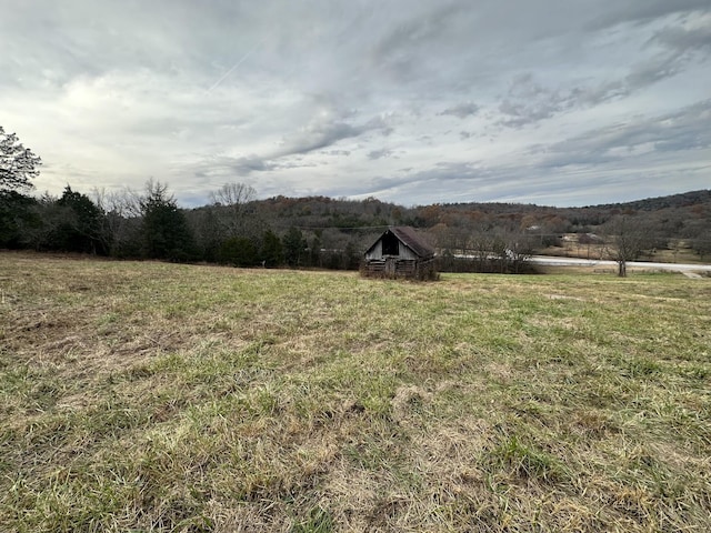 0 Popular Bluff Rd, Auburntown, TN 37016 - photo 4