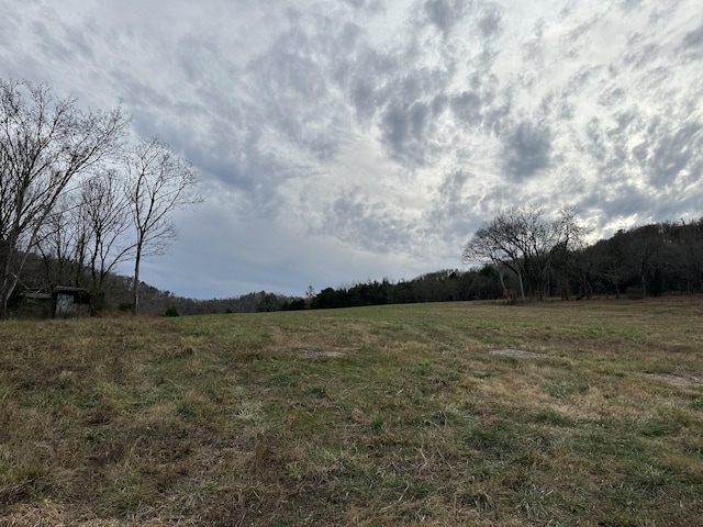 0 Popular Bluff Rd, Auburntown, TN 37016 - photo 3