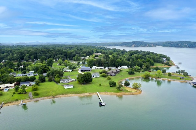 1648 Canal Ln, Dandridge, TN 37725 - photo 48