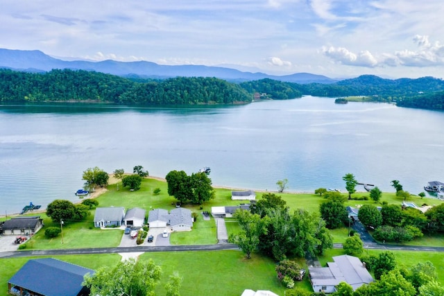 1648 Canal Ln, Dandridge, TN 37725 - photo 43