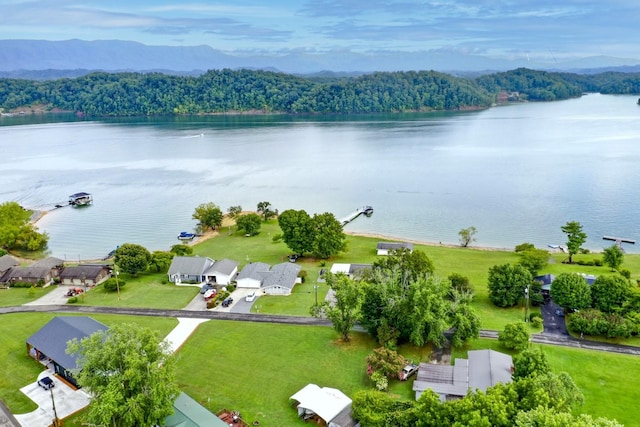 1648 Canal Ln, Dandridge, TN 37725 - photo 45