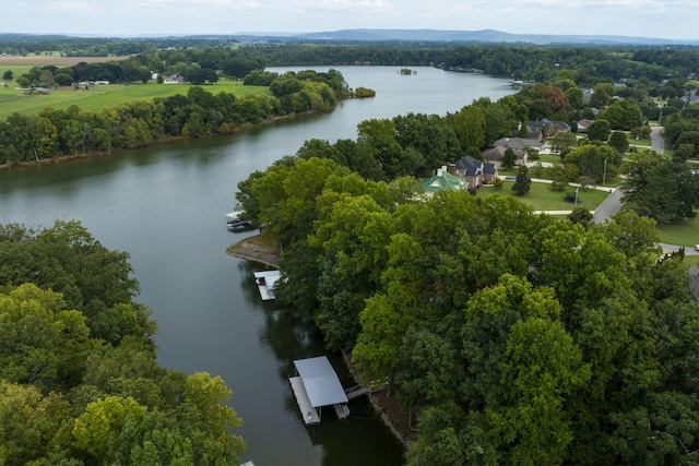 263 Waters Edge Dr, Estill Springs, TN 37330 - photo 60