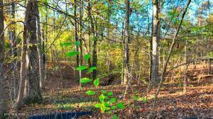 0 George St, Camden, TN 38320