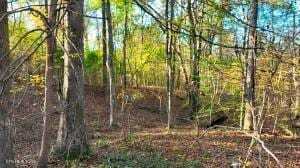0 George St, Camden, TN 38320