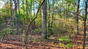 0 George St, Camden, TN 38320