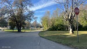 0 George St, Camden, TN 38320