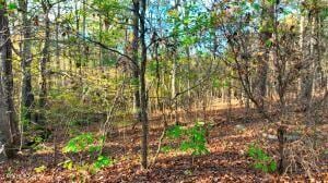 0 George St, Camden, TN 38320