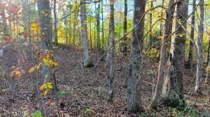 0 George St, Camden, TN 38320