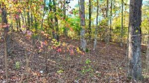 0 George St, Camden, TN 38320