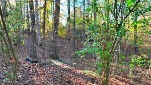 0 George St, Camden, TN 38320