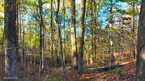 0 George St, Camden, TN 38320