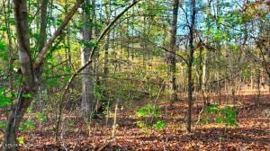 0 George St, Camden, TN 38320