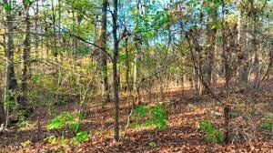 0 George St, Camden, TN 38320