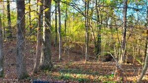 0 George St, Camden, TN 38320