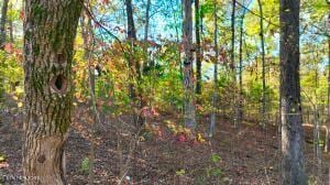 0 George St, Camden, TN 38320