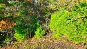 0 George St, Camden, TN 38320