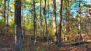 0 George St, Camden, TN 38320