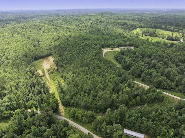 0 Bunches Chapel Rd, Parsons, TN 38363
