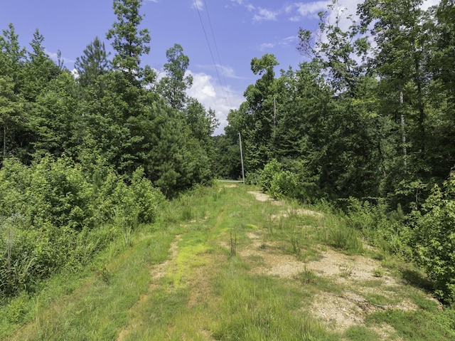 0 Bunches Chapel Rd, Parsons, TN 38363