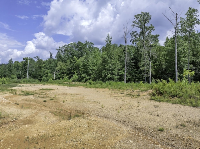 0 Bunches Chapel Rd, Parsons, TN 38363