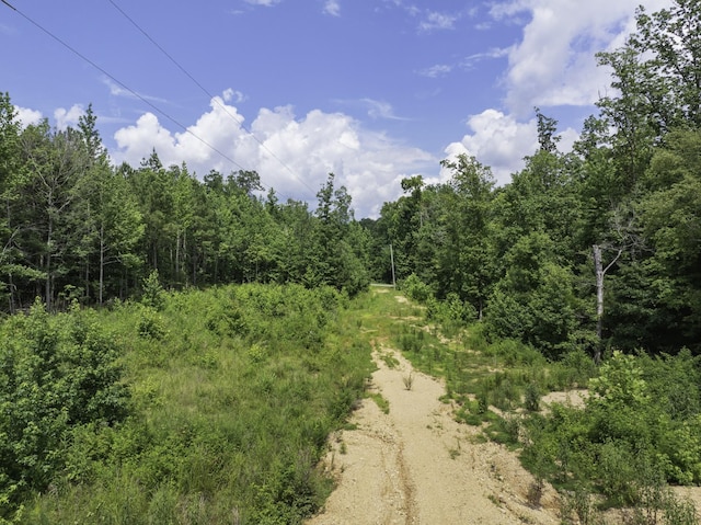 0 Bunches Chapel Rd, Parsons, TN 38363