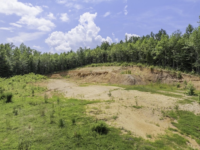 0 Bunches Chapel Rd, Parsons, TN 38363