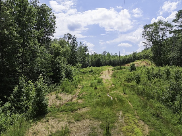 0 Bunches Chapel Rd, Parsons, TN 38363