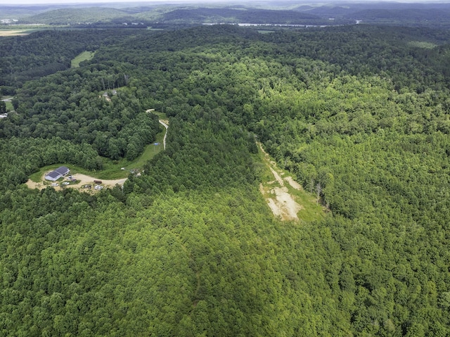 0 Bunches Chapel Rd, Parsons, TN 38363