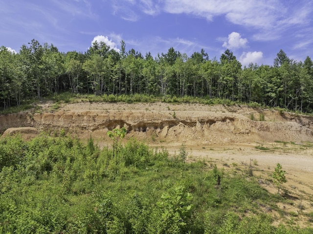 0 Bunches Chapel Rd, Parsons, TN 38363
