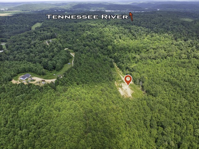 0 Bunches Chapel Rd, Parsons, TN 38363