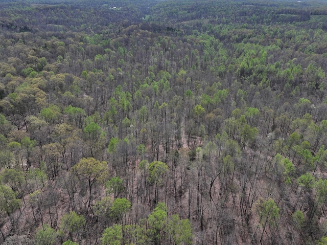 183 Jerry Smith Rd, Indian Mound, TN 37079 - aerial view of property's location with a heavily wooded area