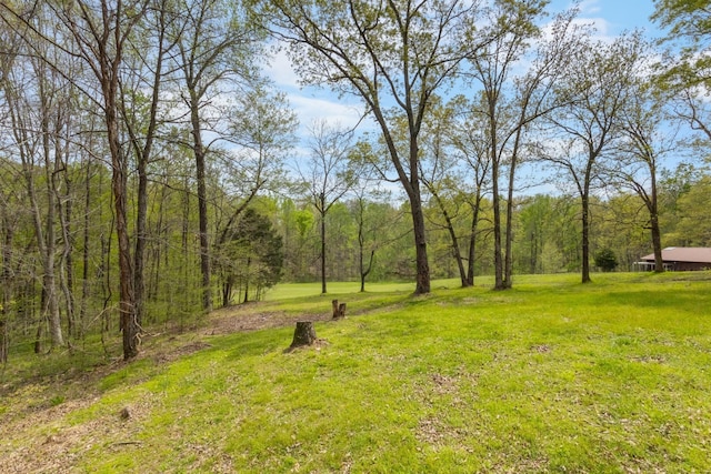 183 Jerry Smith Rd, Indian Mound, TN 37079 - view of grassy yard with a view of trees