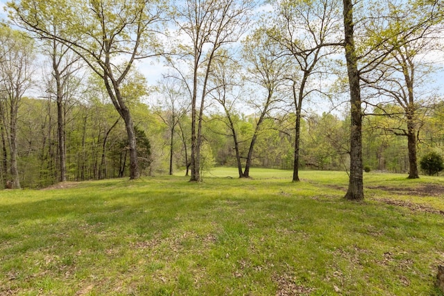 183 Jerry Smith Rd, Indian Mound, TN 37079 - view of grassy yard featuring a wooded view