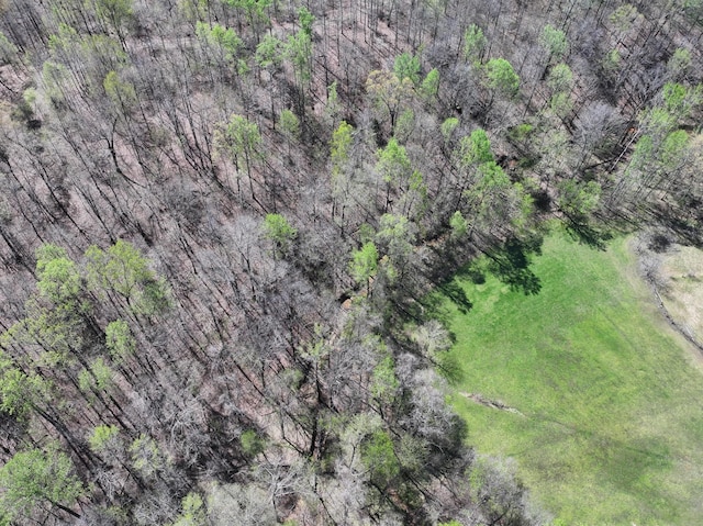 183 Jerry Smith Rd, Indian Mound, TN 37079 - bird's eye view
