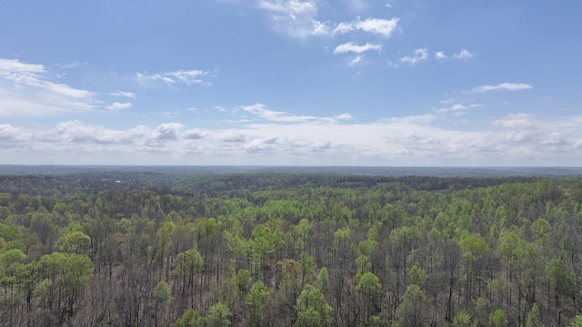 183 Jerry Smith Rd, Indian Mound, TN 37079 - drone / aerial view of a heavily wooded area