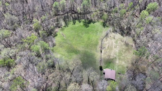 183 Jerry Smith Rd, Indian Mound, TN 37079 - aerial view of property and surrounding area