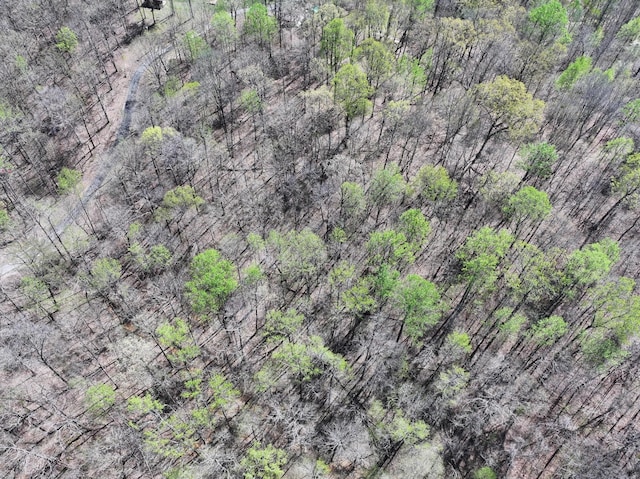 183 Jerry Smith Rd, Indian Mound, TN 37079 - bird's eye view