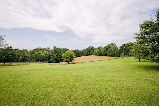 1631 Taylor Town Rd, White Bluff, TN 37187 - photo 31
