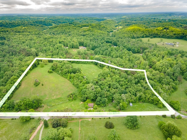 2222 Mack Branch Rd, Lynnville, TN 38472 - photo 4
