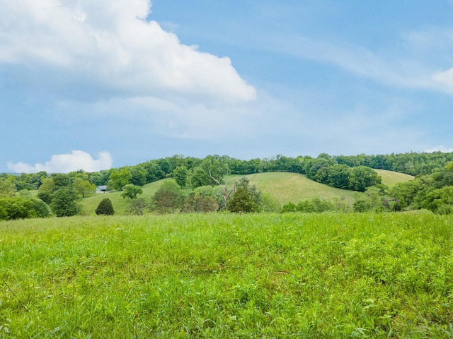 2222 Mack Branch Rd, Lynnville, TN 38472 - photo 64