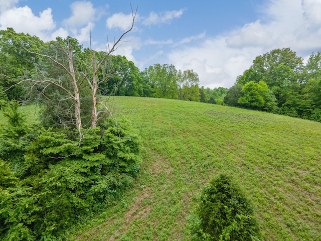 2222 Mack Branch Rd, Lynnville, TN 38472 - photo 37